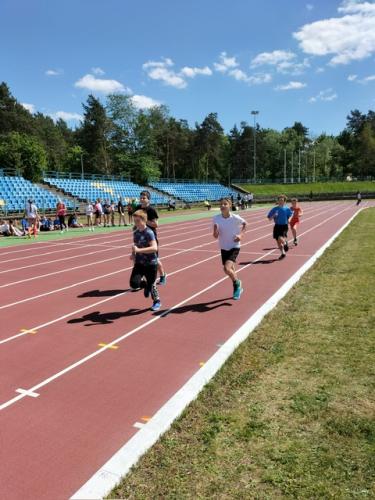 161a2183-c92c-4e01-95a8-f541dfded099