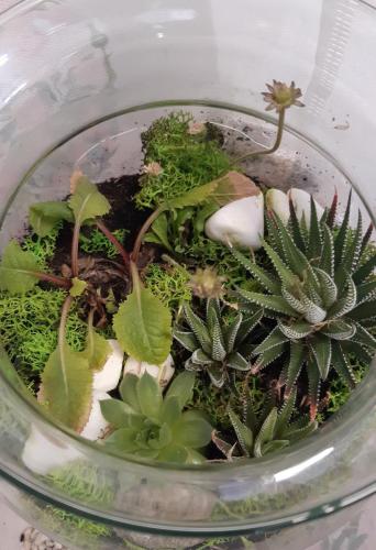 Projekt Do it yourself