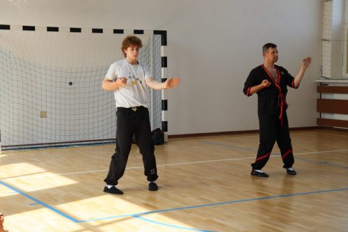 IMG 8355