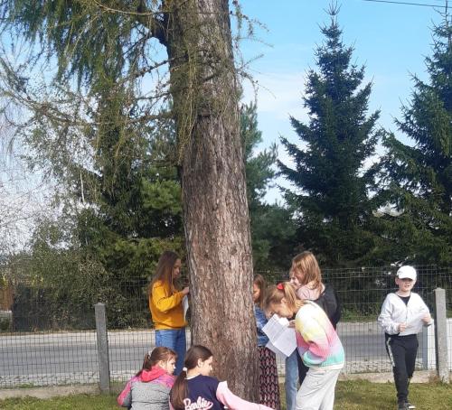 Zajęcia z kompasem w klasie 4