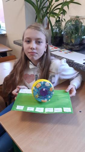 Szkolny projekt DIY - model komórki zwierzęcej