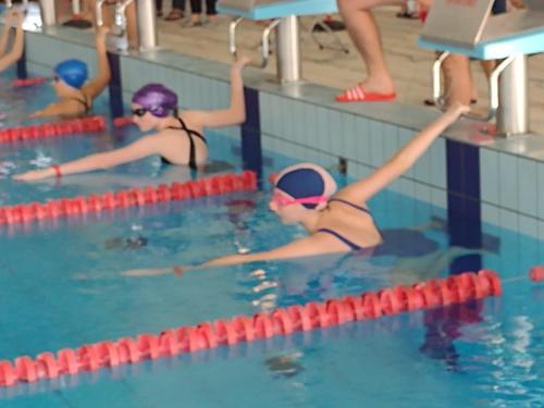 Mikołajkowe Zawody Pływackie